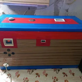 inkubator
