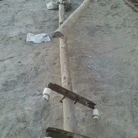 Tok stalba iki sany 