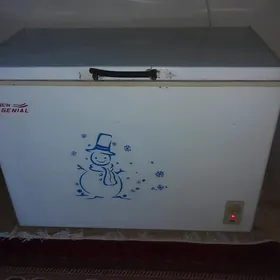Holodinik