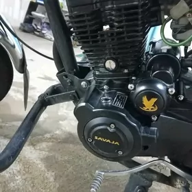 Fekon FK150-8G 2015