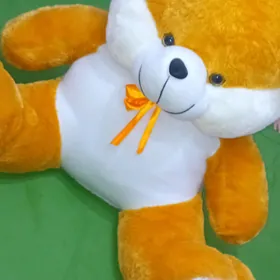 МИШКА...ХОМЯК!!