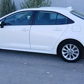 Toyota Corolla 2019