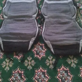 cehol carolla