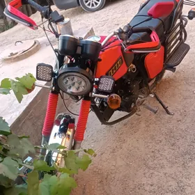 Fekon FK200-14G 2019