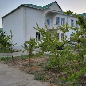Kotej taze zaman 1nji tapgyr
