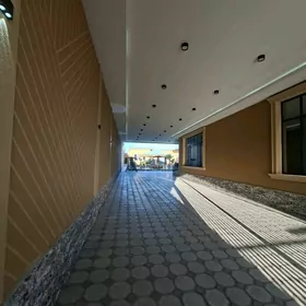 Arenda Anew 