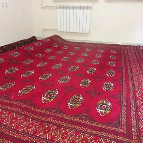 haly eyran. халы ейрн 5×3 1100