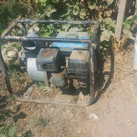 pompa suw cykaryjy