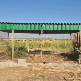 Ketek