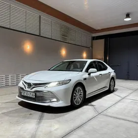 Toyota Camry 2019