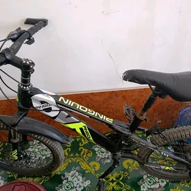 Skortly welik