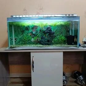 Аквариум