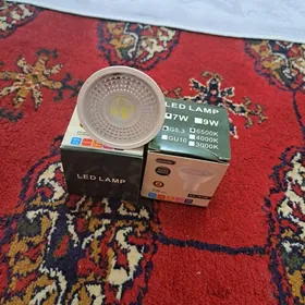 LED lampa