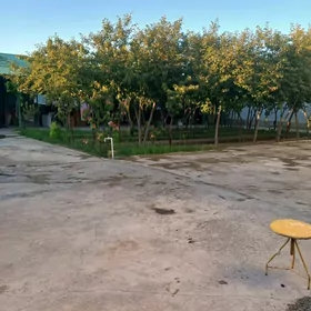 Taze zaman katez 8 sot 5 kom