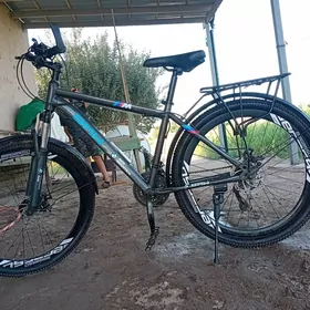 Bwm