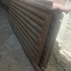 Ateplenya