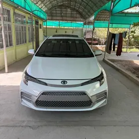 Toyota Corolla 2021