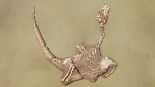 Alymlar äpet penjeli guşa meňzeş dinozawryň täze görnüşini tapdylar