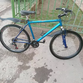 velik
