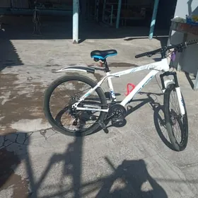 26lyk tigir