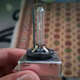 tuareg lampa
