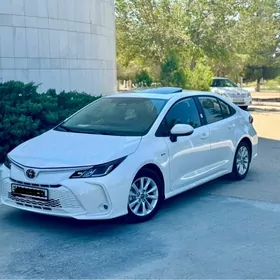 Toyota Corolla 2025
