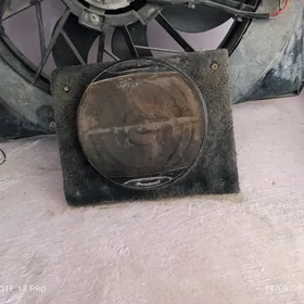 pioneer dasynan goyulyan