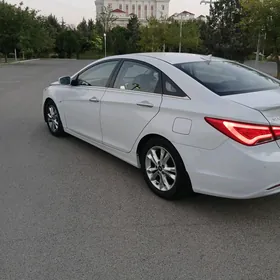 Hyundai Sonata 2010