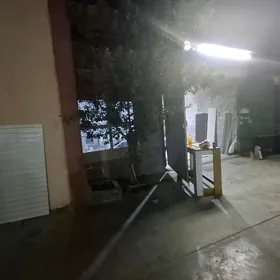 coganly 3 sotuk