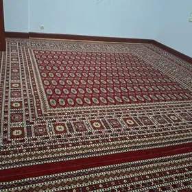 OY GOLARY SATYN ALYAS КУПИМ