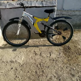 tigir