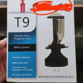 Lupa çyra lampa