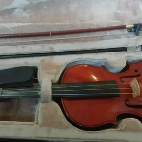 Skiripka 3/4