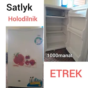 Orvica