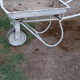 galtak