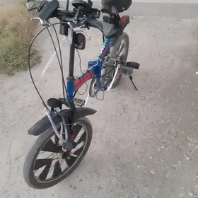 spartivniy kama