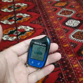 Gök maçigar