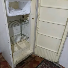 haladinik
