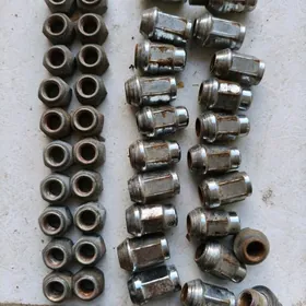 Bolt