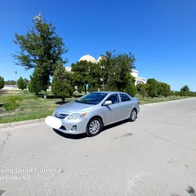 Toyota Corolla 2010