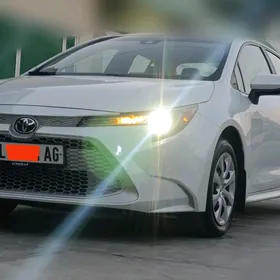 Toyota Corolla 2022