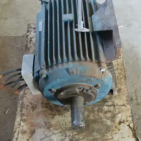 diwigatel