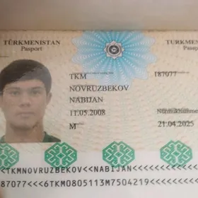 PASPORT TAPYLDY