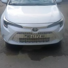 Toyota Corolla 2020