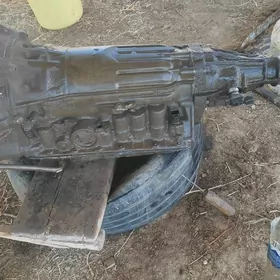 mark 2,5karoogo