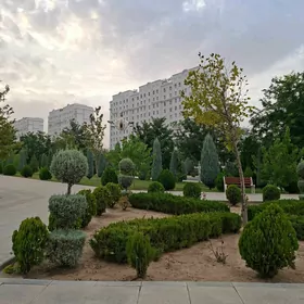 15 Tapgyr 3 kom 1 etaz