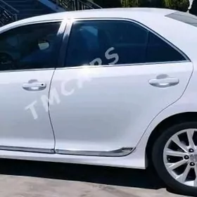 Gapy Nikel Molding Camry 12