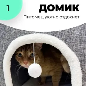 домик когтеточка