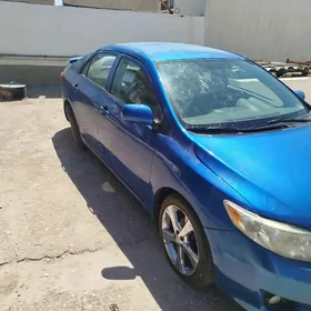 Toyota Corolla 2010