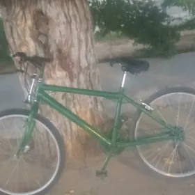 Turkmenistan tigir 26lik